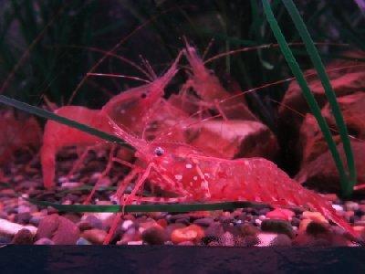 北海道　/　最北の稚内ノシャップ寒流水族館