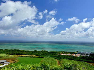 小浜島 西大岳からの光景