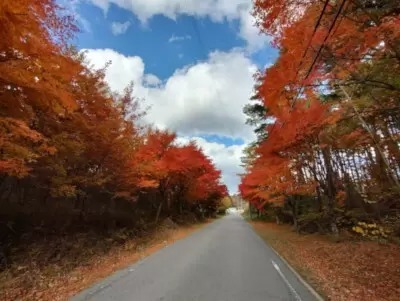 田舎でのんびり「好きと得意」で起業しよう！ 八ヶ岳南麓はもう冬の始まり