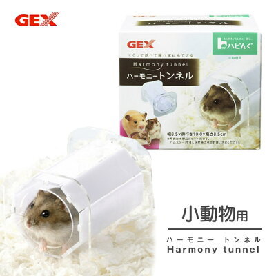 ハリネズミを飼いたい！ペットにおすすめの種類や飼い方、寿命についても解説！