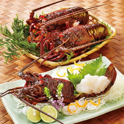 あの伊勢海老を釣りあげよう!仕掛け作りや場所など釣るためのコツを大公開!