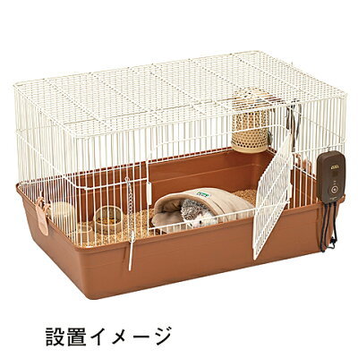 【夏眠に注意】ハリネズミの暑さ対策まとめ！適切な温度・湿度管理に必要なグッズも！