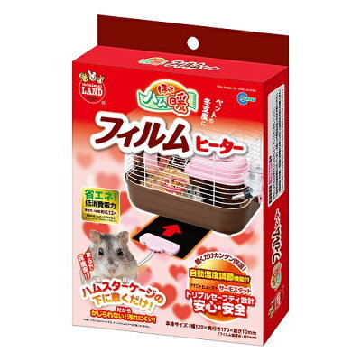 【夏眠に注意】ハリネズミの暑さ対策まとめ！適切な温度・湿度管理に必要なグッズも！