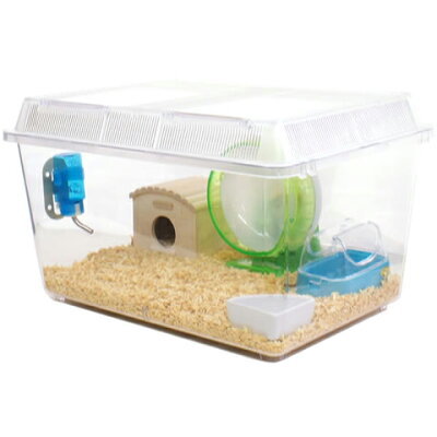 ペットとして人気のネズミの種類4つと飼い方！よく懐いて飼いやすいのはどれ？