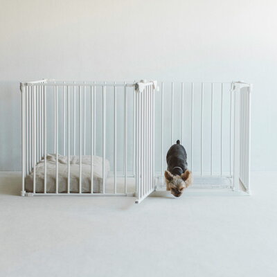 【愛犬家キャンパー必見】寝るときにおすすめの方法や防寒アイテム、注意点をご紹介!