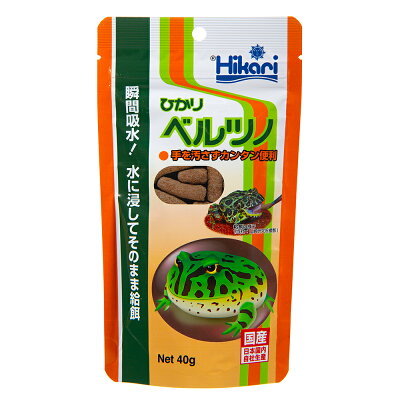 カエルはペットにおすすめ!飼いやすい人気の種類と初心者でも簡単な飼育方法を解説!