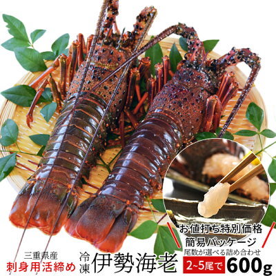あの伊勢海老を釣りあげよう!仕掛け作りや場所など釣るためのコツを大公開!