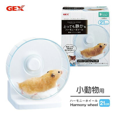 ハリネズミを飼いたい！ペットにおすすめの種類や飼い方、寿命についても解説！