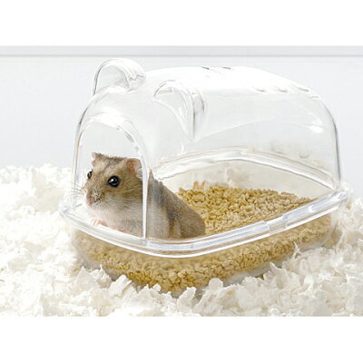ペットとして人気のネズミの種類4つと飼い方！よく懐いて飼いやすいのはどれ？