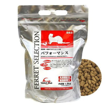 【ペット】ミーアキャットの特徴と飼い方！値段や寿命は？餌やトイレについても解説！
