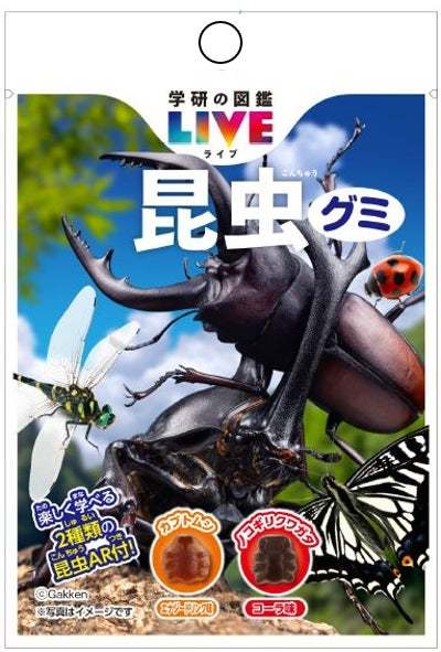 2種類の昆虫の形をしたグミを楽しめる！人気の図鑑シリーズ「学研の図鑑LIVE」コラボ第2弾！「学研の図鑑LIVE昆虫グミ」を2024年7月23日（火）に新発売いたします。