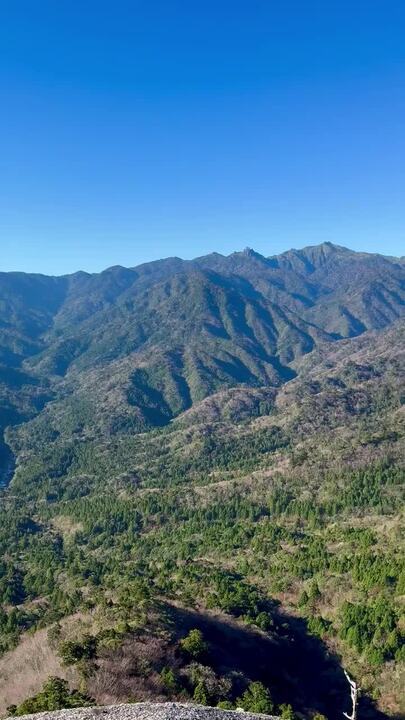 【鹿児島】屋久島の白谷雲水峡に行かれる方へ注意（2024年11月現在）