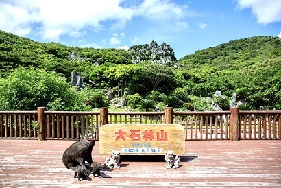 【連載】沖縄北部のおすすめ観光スポット！幻の鳥に出会えるチャンスも