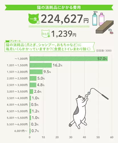 猫の一生にかかるお金は約264万円！「R＆Cマガジン」が飼い主3000人に調査