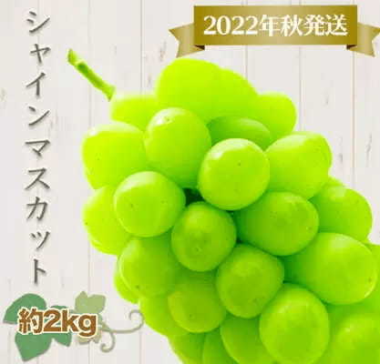 【2021年ふるさと納税】ぶどうランキング！還元率やコスパで比較