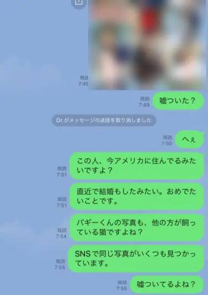 有名猫アカウントの写真が無断転載被害に→追ってみたら典型的なロマンス詐欺だった件の一部始終を公開