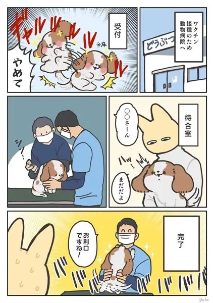 どんなイベントよりも動物病院が好き！喜び爆発の犬漫画