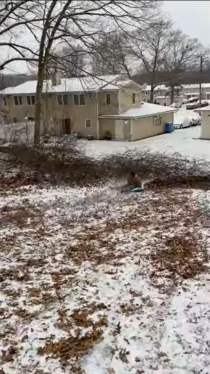 初めての雪にテンションが上がったけれど・・・。初めてのソリは簡単ではなかったようで、バランスを崩しスリリングな姿勢で斜面を滑っていきました