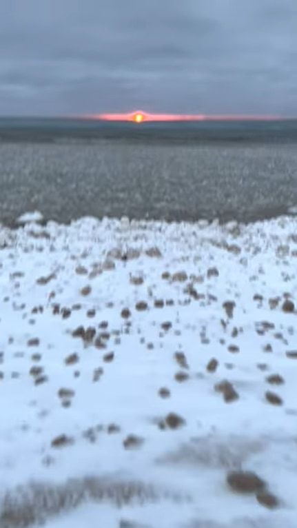 自然の生んだ奇跡の光景！ミシガン湖の湖岸に丸い岩が打ち寄せて浮いていると思いきや・・・、これはアイスボールと呼ばれる球状になった氷なのです！