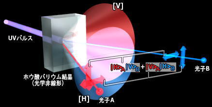 世界初の多次元量子テレポーテーションに成功