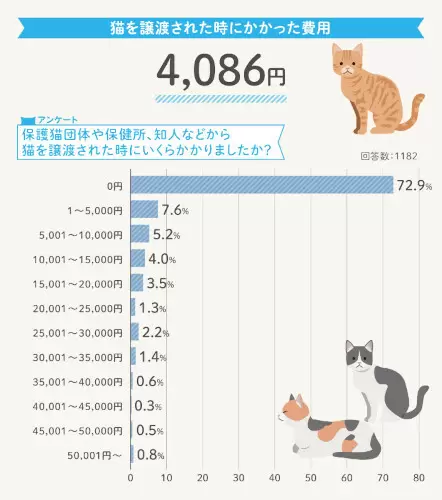 猫の一生にかかるお金は約264万円！「R＆Cマガジン」が飼い主3000人に調査