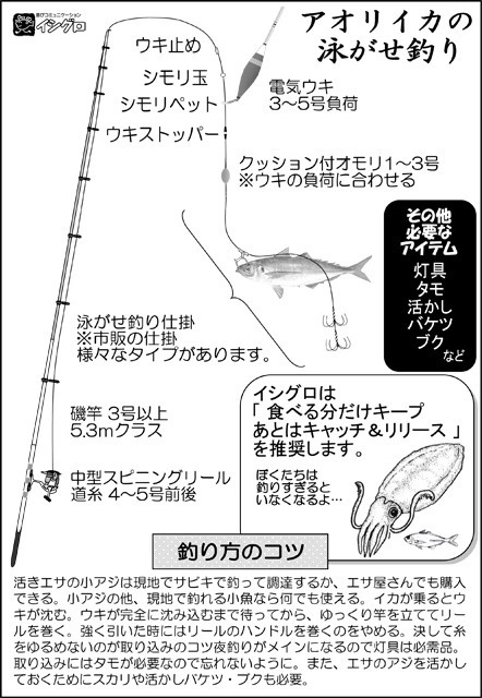 イカの釣り方特集！種類別に時期やコツなど、初心者向けまとめ！