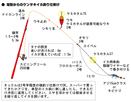 イカの釣り方特集！種類別に時期やコツなど、初心者向けまとめ！