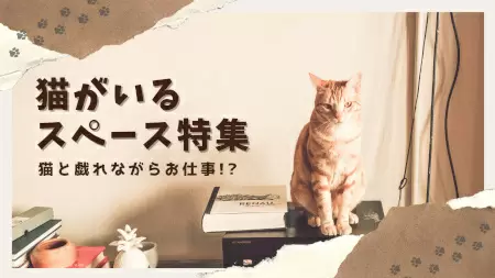 猫と一緒にリモートワークなど使い方無限大！「レンタルスペース」の新たな利用法を促進