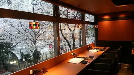 銀座の隠れたお花見スポット「西銀座デパート」、店内から間近に桜が楽しめる