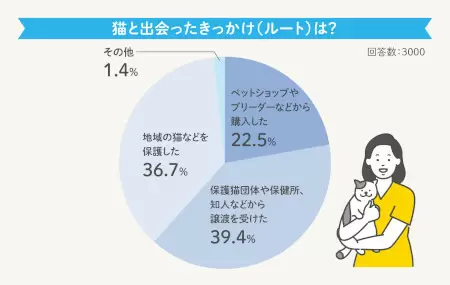 猫の一生にかかるお金は約264万円！「R＆Cマガジン」が飼い主3000人に調査