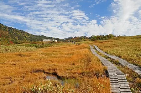 秋は立山黒部アルペンルートに！　 全国旅行支援「秋割キャンペーン」販売開始