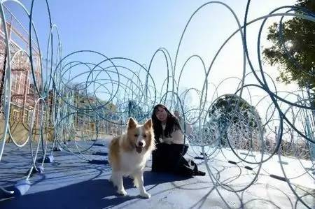 大型犬も入園できる「さがみ湖リゾート」、愛犬フレンドリーな巨大遊園地に