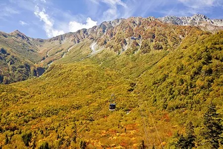 秋は立山黒部アルペンルートに！　 全国旅行支援「秋割キャンペーン」販売開始