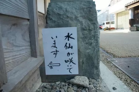 街全体が昭和レトロ！「うだつがあがらない」の語源になった「脇町・うだつの街並み」