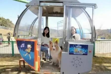 大型犬も入園できる「さがみ湖リゾート」、愛犬フレンドリーな巨大遊園地に