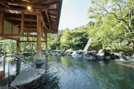 三重県の全国旅行支援を利用しよう！ ナガシマスパーランド入場券・湯あみの湯が付いた宿泊プラン