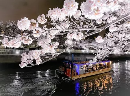 屋外での食事なら風情あふれる屋形船はいかが? 夜景も楽しめる!