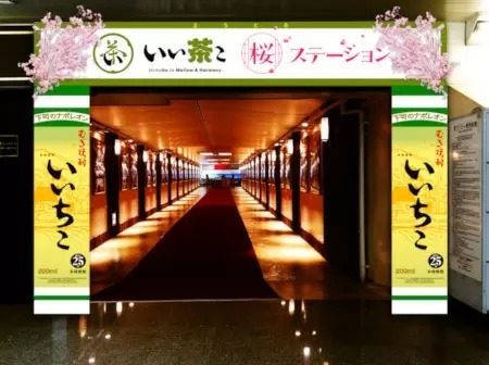 JR両国駅「幻の3番線ホーム」で「いい茶こ 桜ステーション」開催