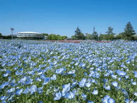 三重県の全国旅行支援を利用しよう！ ナガシマスパーランド入場券・湯あみの湯が付いた宿泊プラン