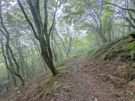 ソロモンの秘宝が眠る山? 徳島の霊峰「剣山」で神秘の絶景を楽しむ山小屋ステイ