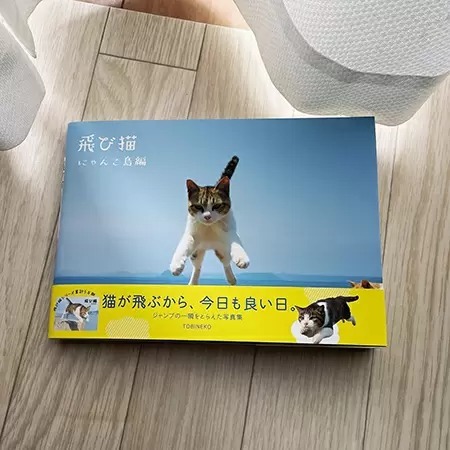 待ってました! 「飛び猫 にゃんこ島編」発売 今回は九州や瀬戸内海の離島から