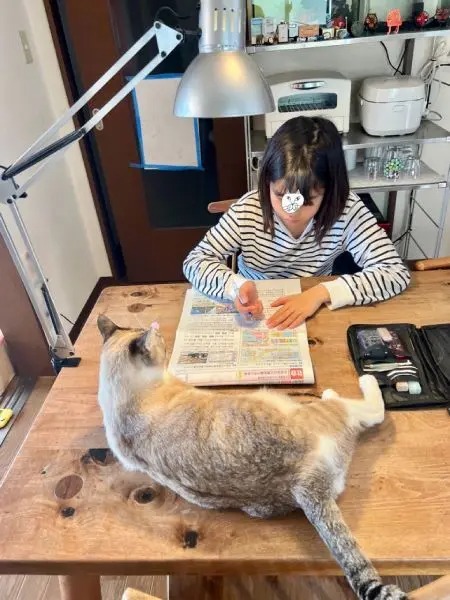 まるで家庭教師？4匹の猫ちゃんたちが冬休みの宿題を応援