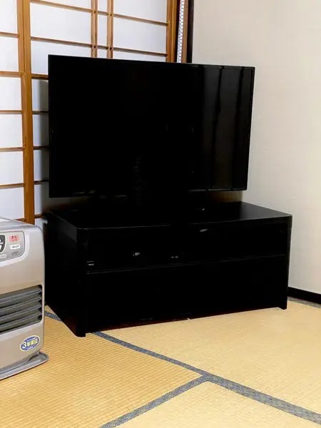 おわかりいただけただろうか……テレビに溶け込む黒猫