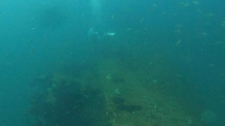 【写真あり】偶然が重なった発見劇。海底25mに沈んだ水中ライトと半年ぶりに再会!