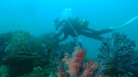 【写真あり】偶然が重なった発見劇。海底25mに沈んだ水中ライトと半年ぶりに再会!