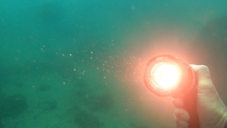 【写真あり】偶然が重なった発見劇。海底25mに沈んだ水中ライトと半年ぶりに再会!