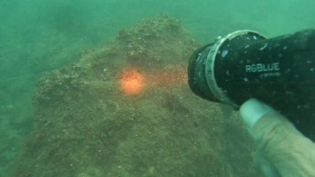 【写真あり】偶然が重なった発見劇。海底25mに沈んだ水中ライトと半年ぶりに再会!