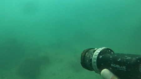 【写真あり】偶然が重なった発見劇。海底25mに沈んだ水中ライトと半年ぶりに再会!