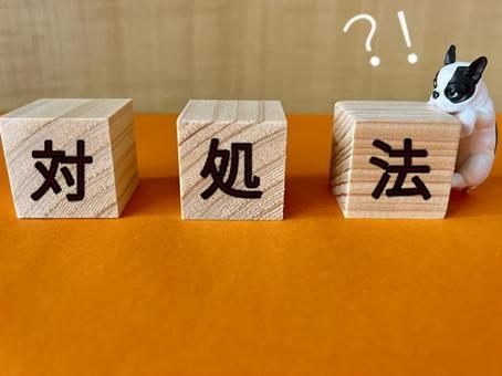 メルカリで受け取り評価されない時は売上金はどうなる?!詳しく解説！