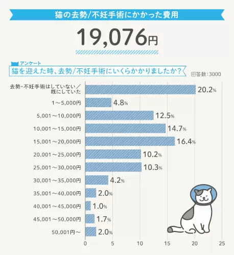 猫の一生にかかるお金は約264万円！「R＆Cマガジン」が飼い主3000人に調査